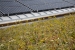 Photo of WaterShed's solar panel roof and green roof