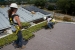 Photo of green roof modules from LiveRoof being installed by team members