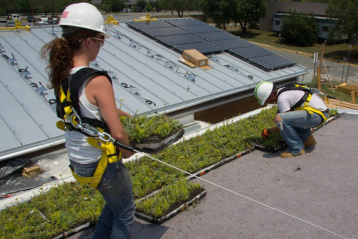 Photo of Veronika Zhiteneva Installing Green Roof